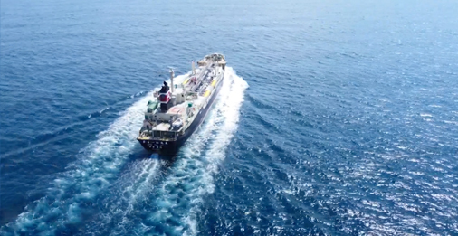 ��˹ά��˹(3499��VIP��֤)����-LasVegasApp