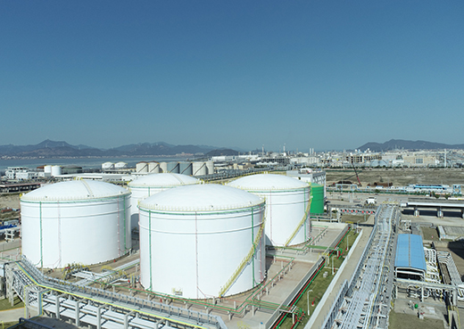 ��˹ά��˹(3499��VIP��֤)����-LasVegasApp