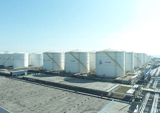 ��˹ά��˹(3499��VIP��֤)����-LasVegasApp